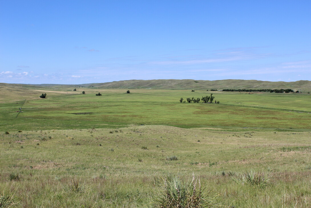 Nebraska Sandhills