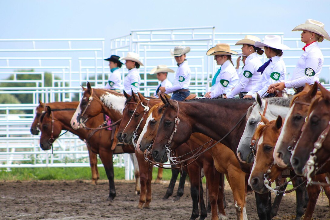 horseback riders