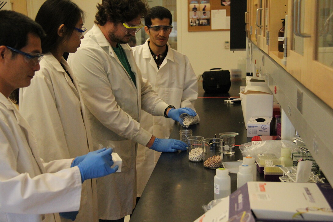 Ph.D graduate student Nguyen Tien An (left), graduate student Haowen Qiu, research technologist Richard Zbasnik and graduate student Sami Althwab working in a lab. Links to larger image.