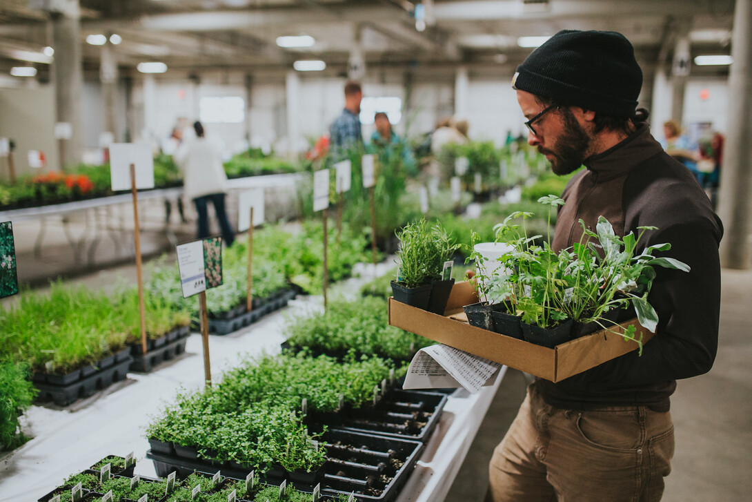 greenhouse