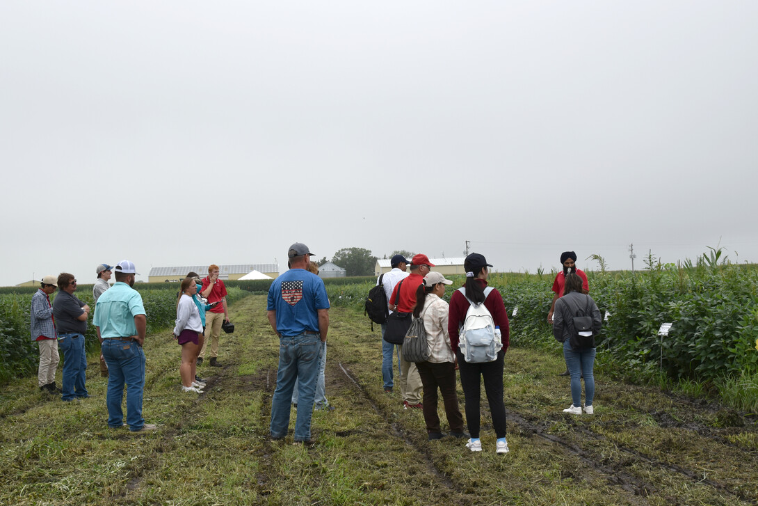 South Central Agricultural Laboratory (SCAL) field day