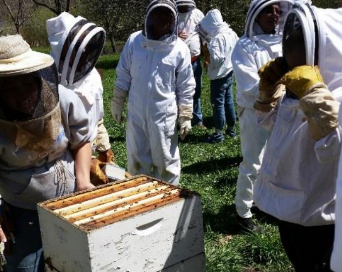 beekeeping