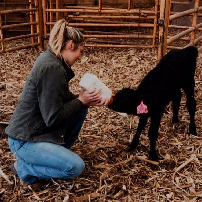 Anna Kobza feeding a calf