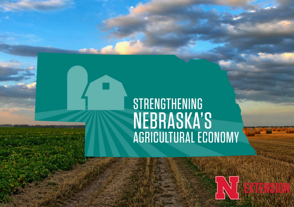 The Strengthening Nebraska’s Agricultural Economy initiative logo. Links to larger image.