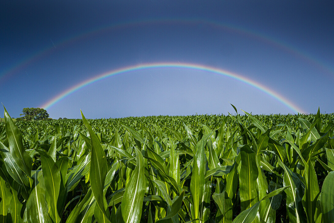 Nebraska Crop Scouting Competition