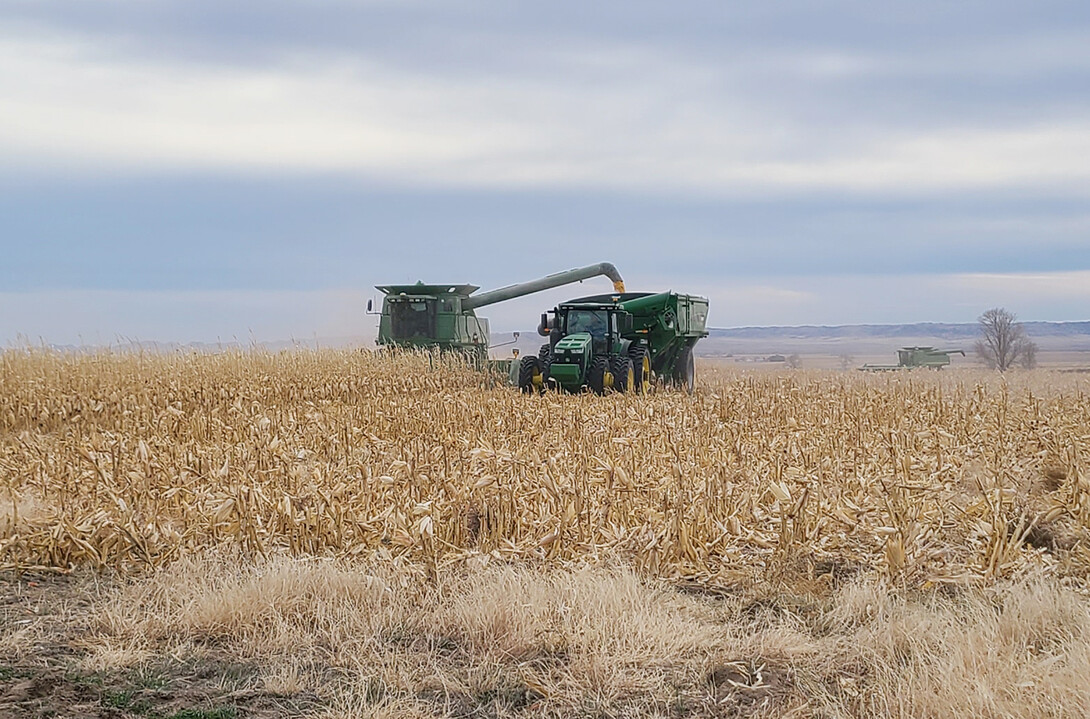 harvest