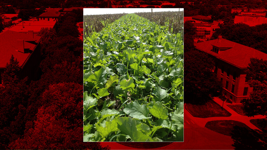 Nebraska Soil Health Conference