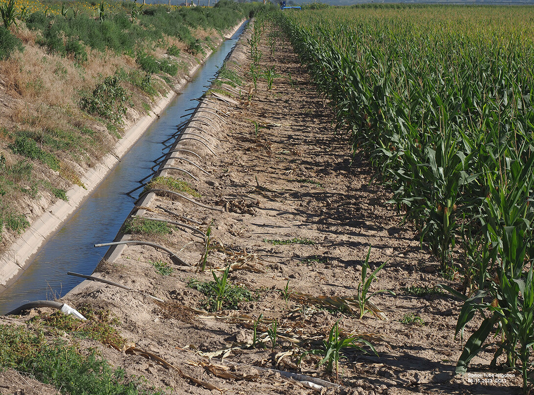 Irrigation ditches 