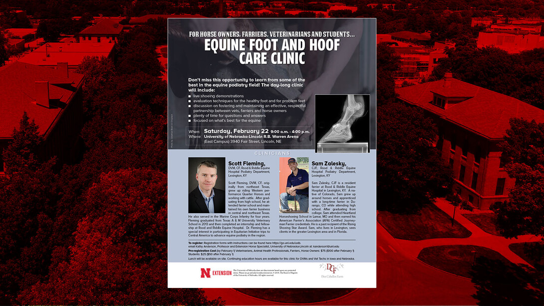 equine foot and hoof care clinic flyer. Includes information in text below.