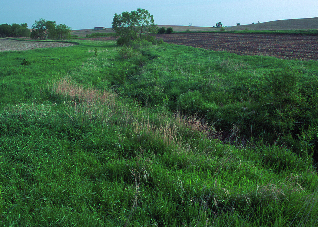 Nebraska conservation agriculture