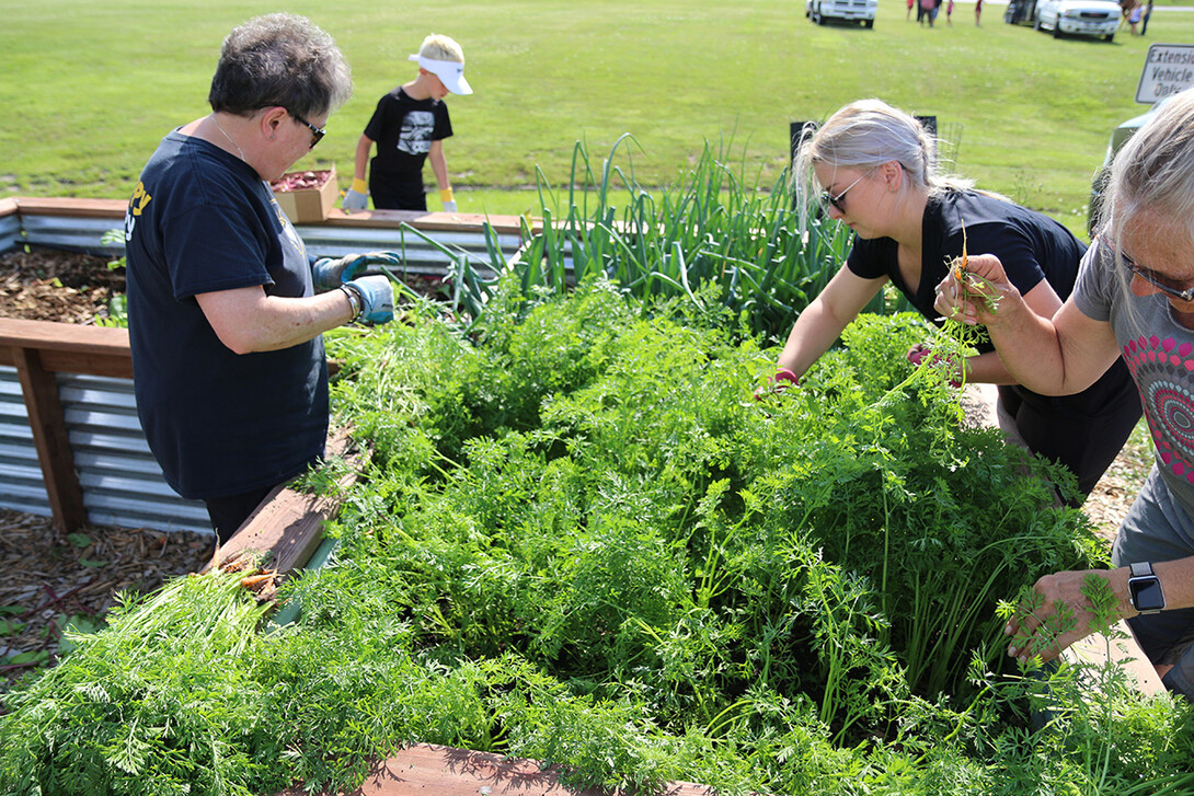 Master Gardener 