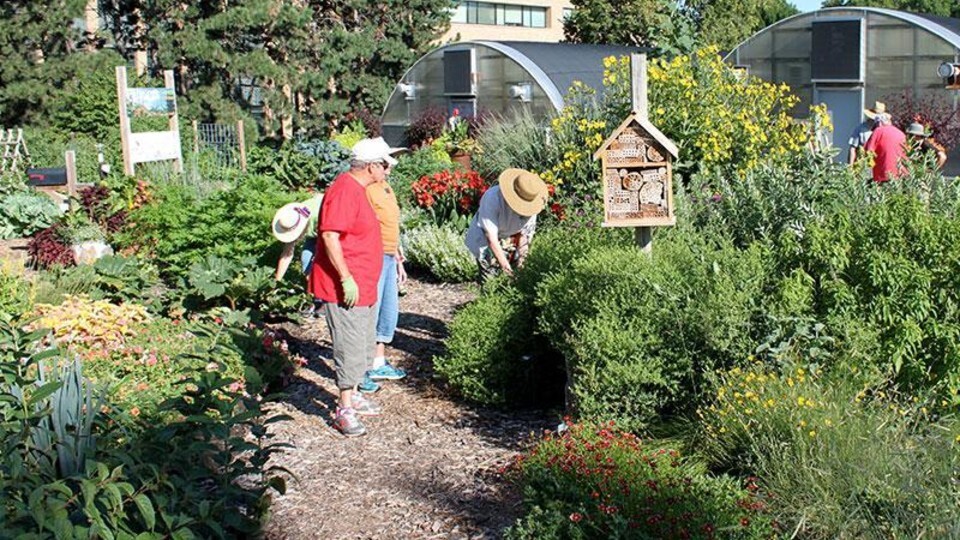 master gardener