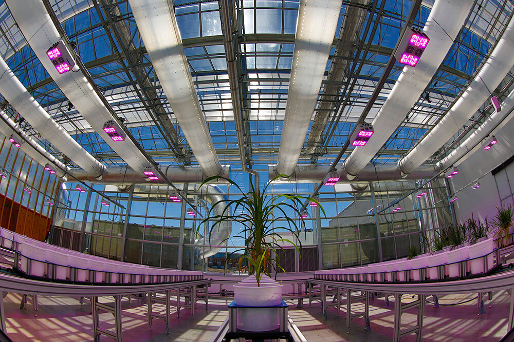 Greenhouse Innovation Center at Nebraska Innovation Campus