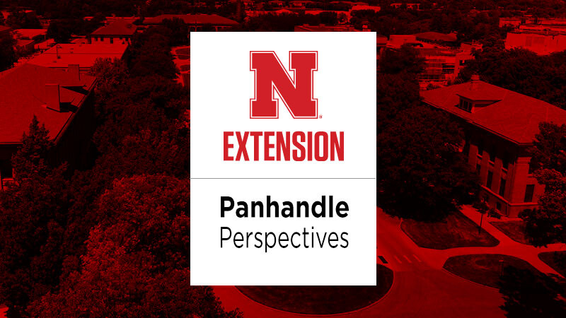 Panhandle Perspectives