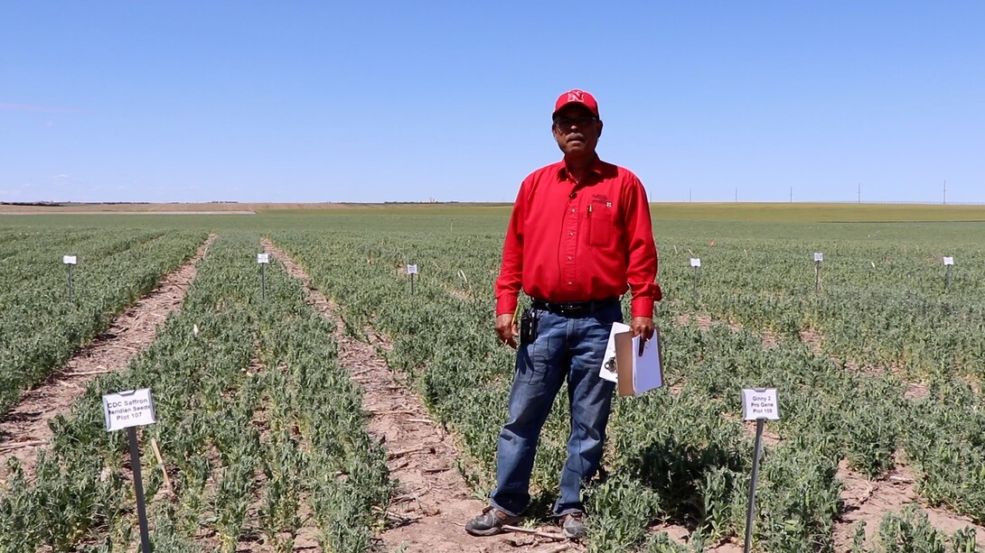 Farmer standing in field