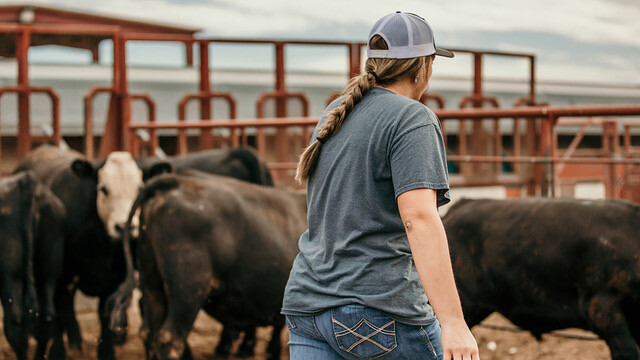 Nebraska Women in Agriculture