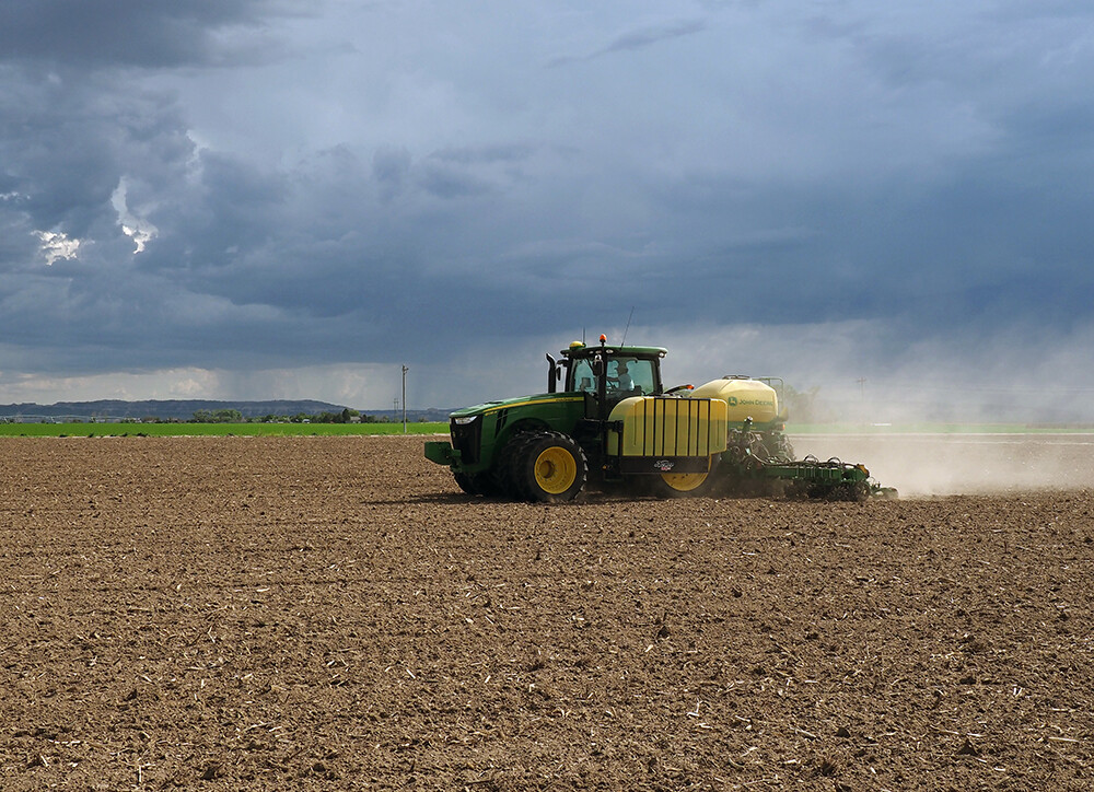 Bean Planting at GLS