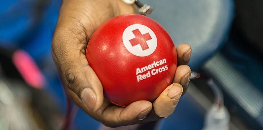 A hand holds an American Red Cross ball while donating blood.