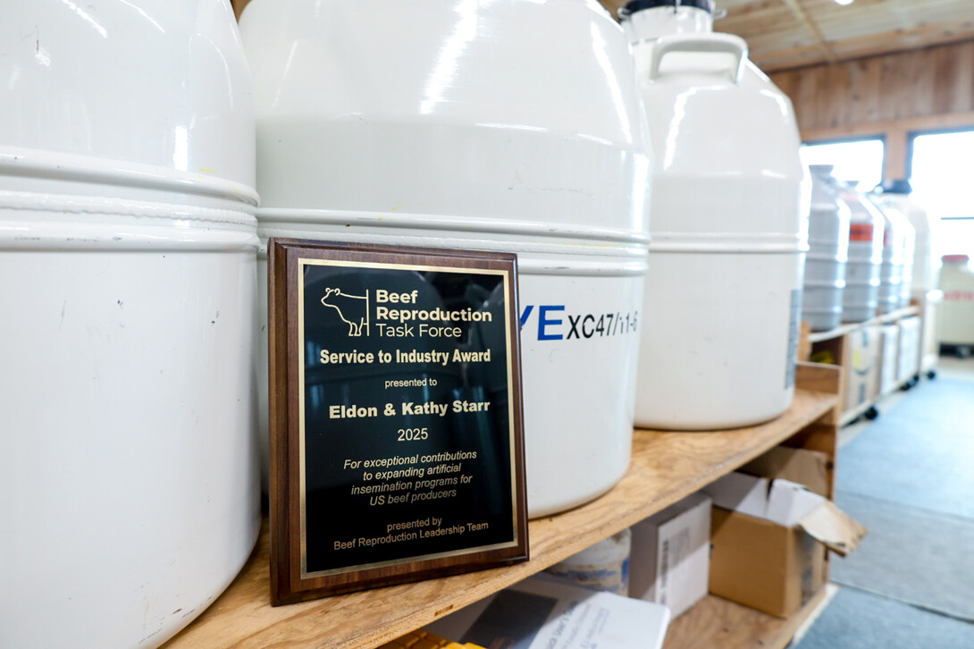 Beef Reproduction Award