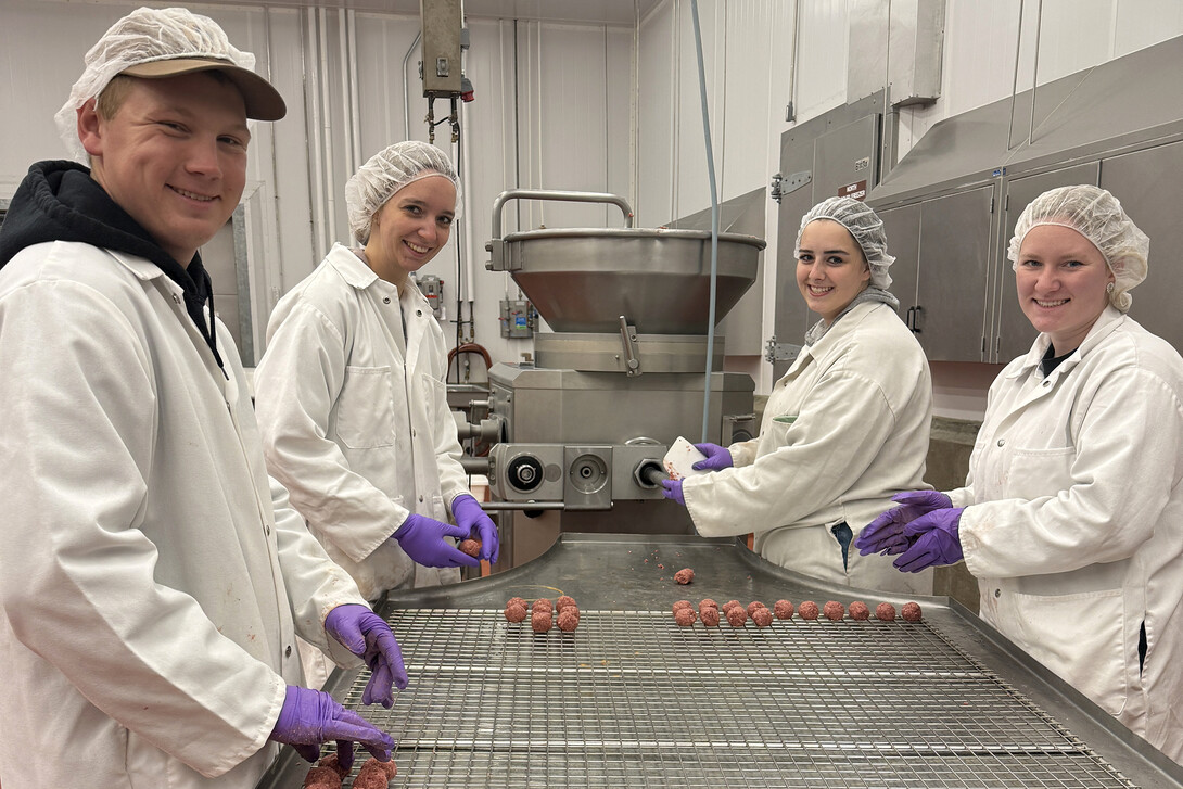 Assistant Meat Lab Manager Steven Rogers shows graduate student Kara Reynolds where to separate the neck from the chuck on a beef carcass in the Loeffel Meat Shoppe.