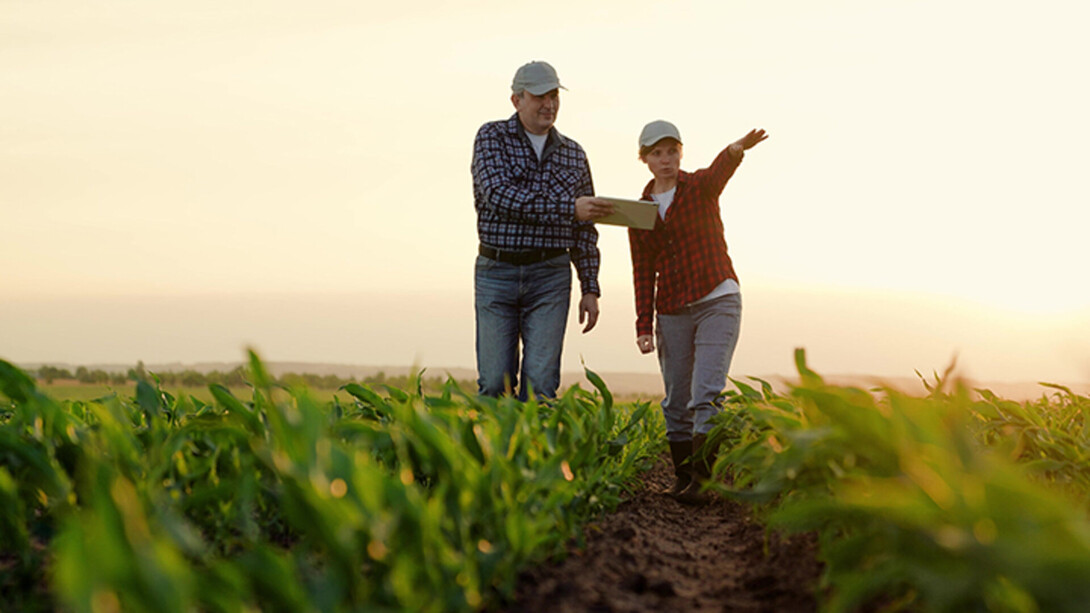 two farmers in field pointing towards crops