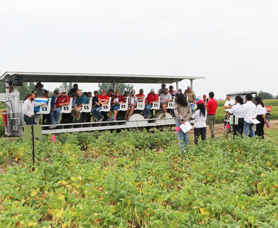 A trailer with growers stops at Dr. Bijesh Maharjan’s plot, where his students discuss their study on dry beans last year. Photo by Chabella Guzman