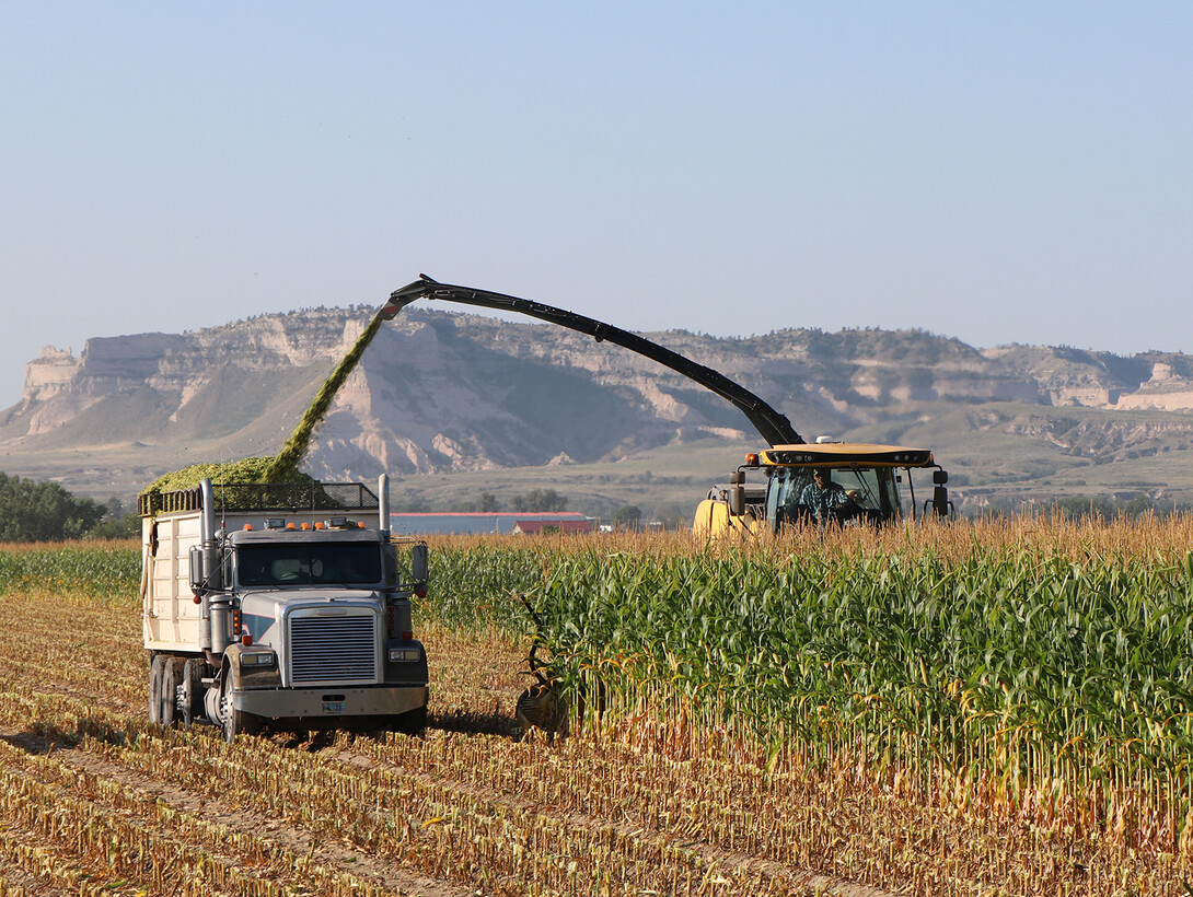 field of crops with farm equipment