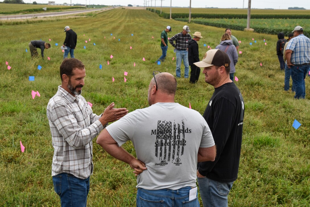 producers in the field