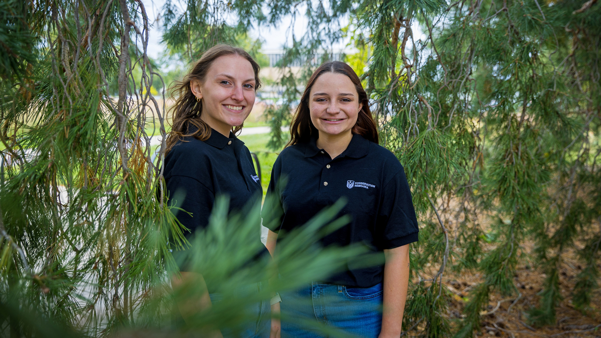 Husker undergraduates Abigail Schroeder (left) and Emma Kurtz are seen amid a tree's dangling branches.