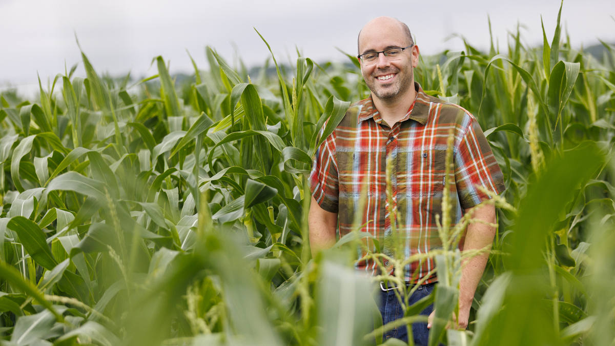 James Schnable stands in a corn field