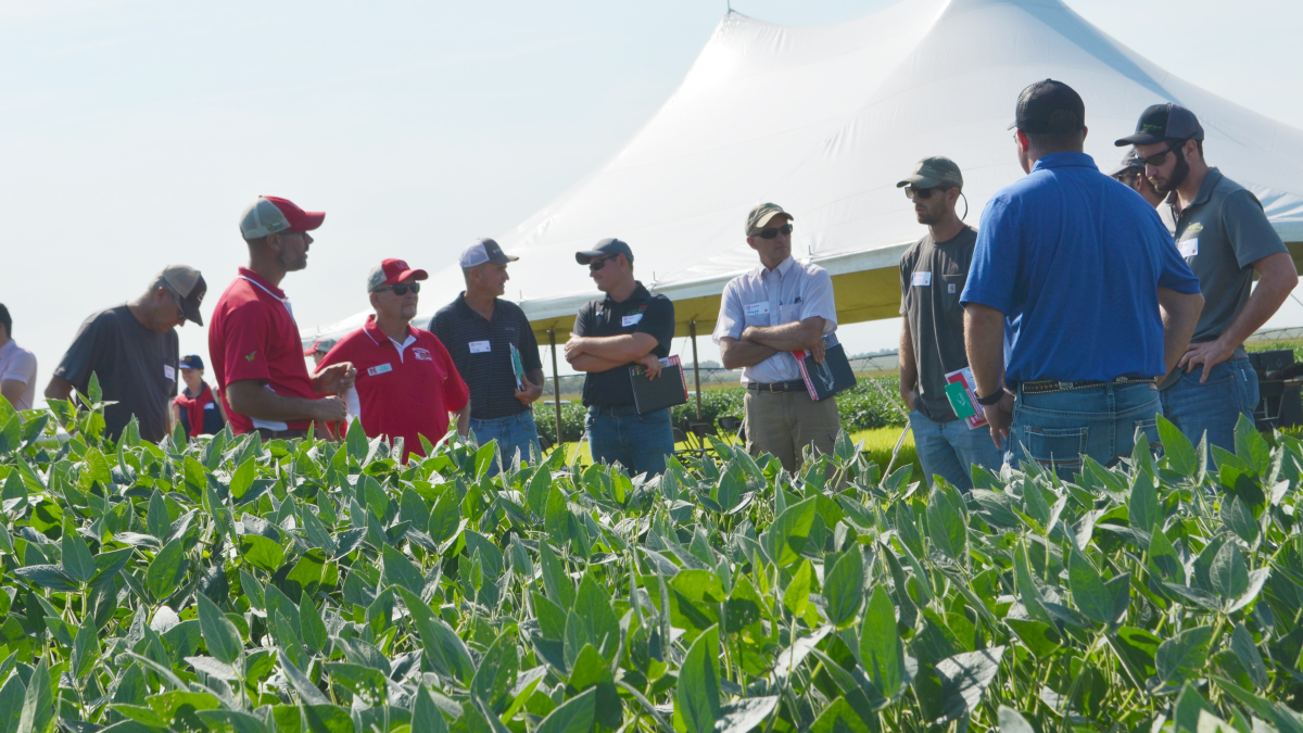 Soybean Management Field Day