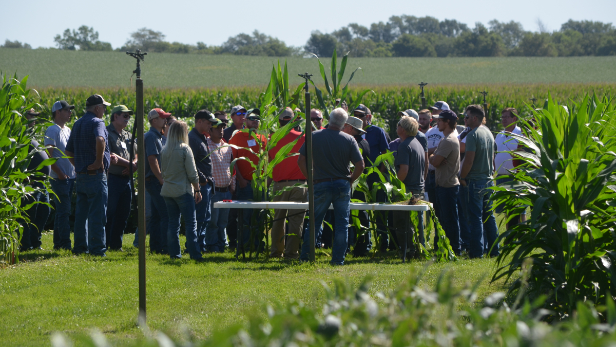 group of participants standing around a table learning at a field day