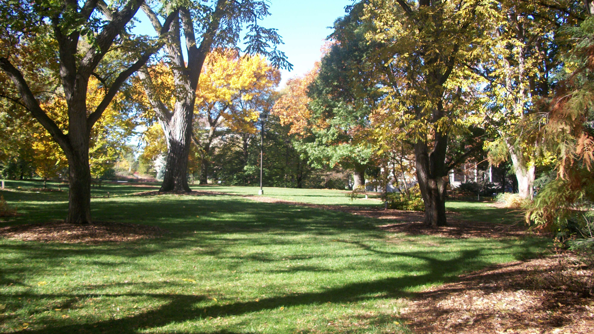 Maxwell Arboretum