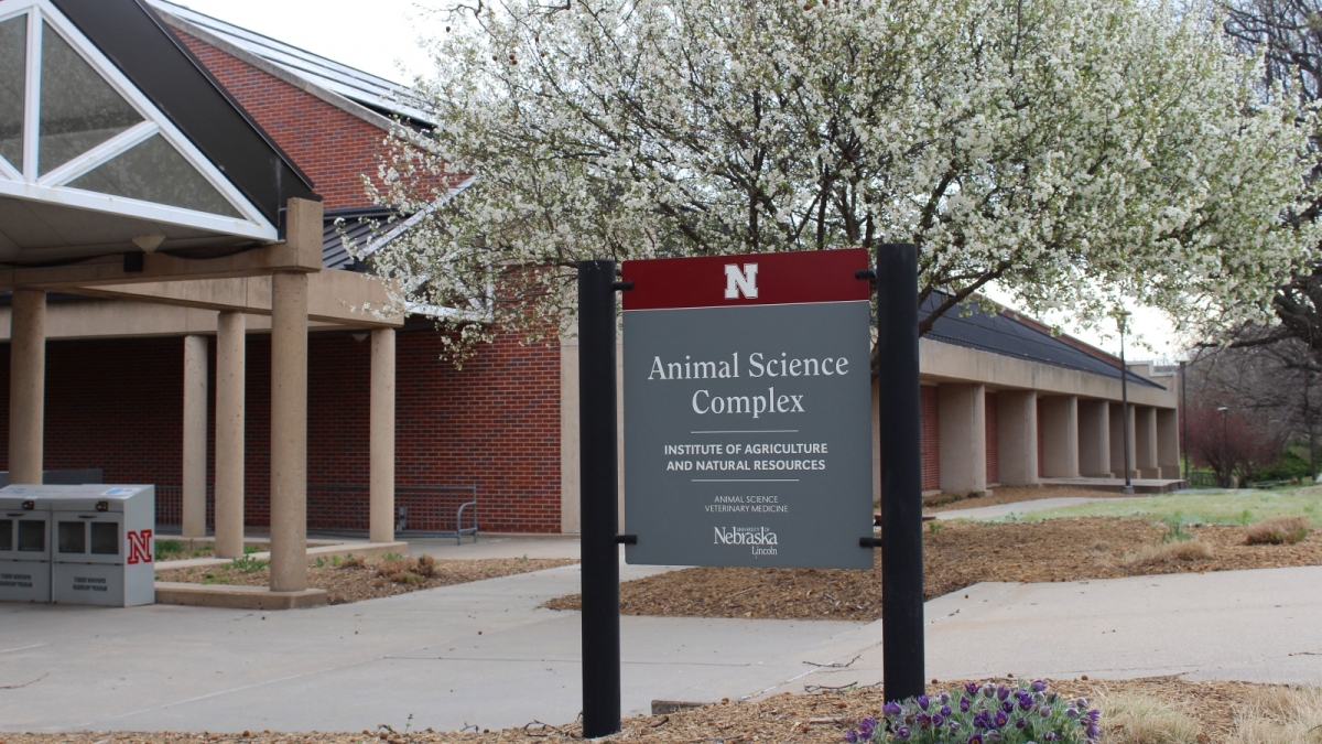 Animal Science Department at the University of Nebraska-Lincoln