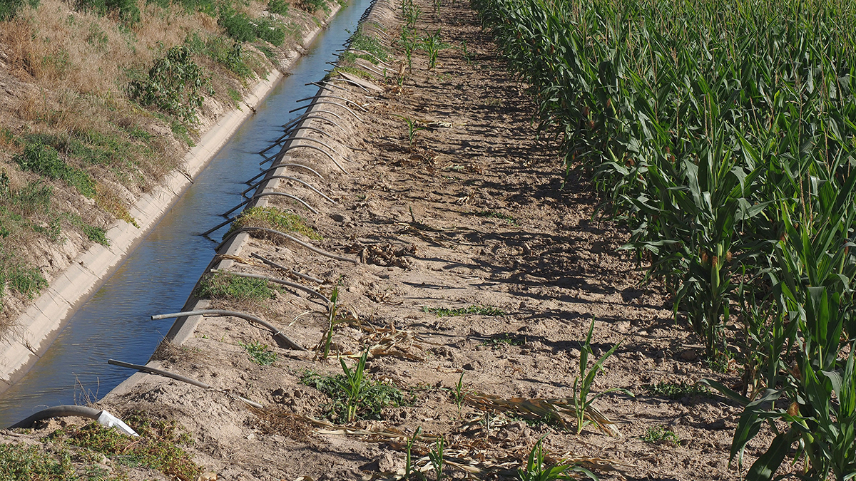 Irrigation ditches 