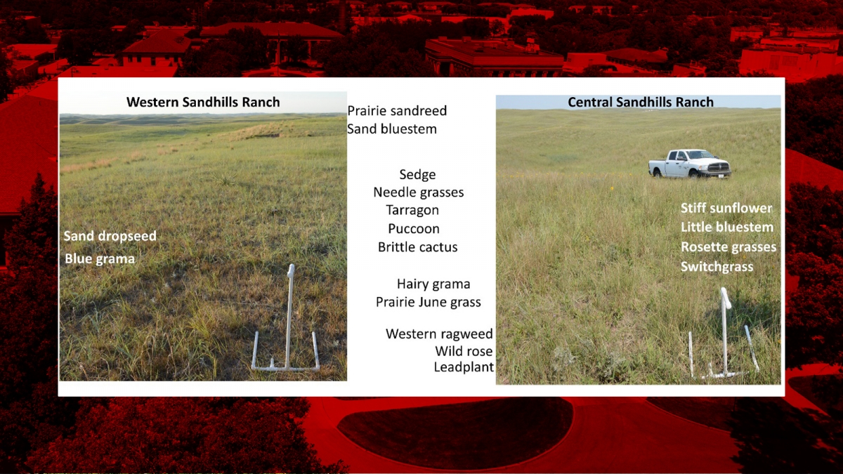 Sandhills Rangeland Monitoring Cooperative