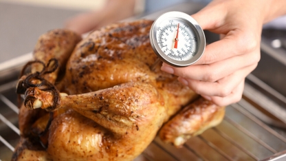 turkey with a meat thermometer