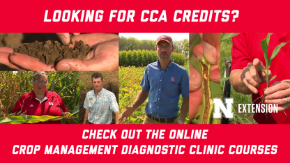 Looking for CCA Credits? Check out the online crop management diagnostic clinic courses.