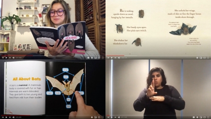 collage of bat videos