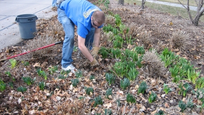 Gardeners clearing a plot