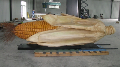 A large cob of corn. Links to larger image.