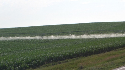 A center pivot watering a field. Links to larger image.