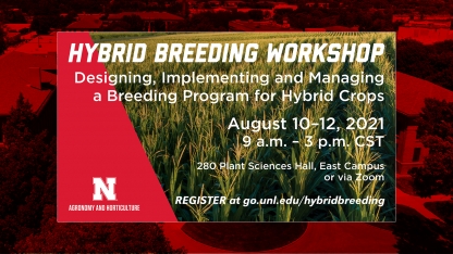  Implementing and Managing a Breeding Program for Hybrid Crops