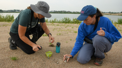 Alisa Halpin (left) floats a least tern egg in a cup of water to determine the age of the nest; the buoyancy of the egg shows how many days old the eggs are. Her daughter, Summer Larkihn, marks the number of the nest on a rock for future reference as part of the Tern and Plover Conservation Partnership.