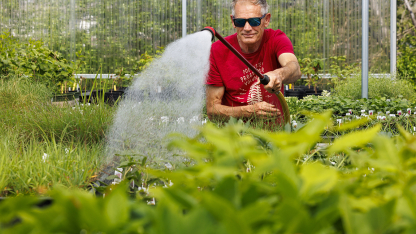 Bob Henrickson, horticulture program coordinator, waters the plants growing in the Nebraska Statewide Arboretum's new greenhouse on East Campus.