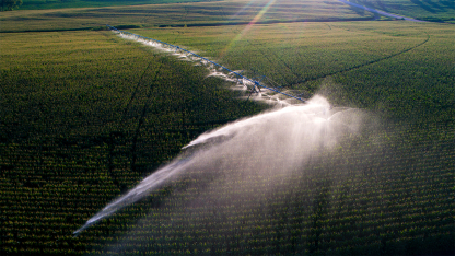 A center-pivot irrigation system waters a cornfield