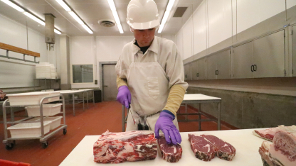 A student cuts steaks in the meat lab.