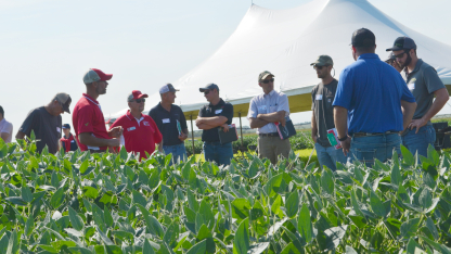 Soybean Management Field Day