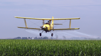 Sprayer flying over cornfield 