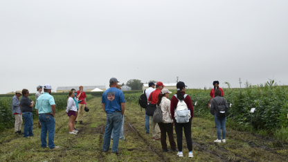South Central Agricultural Laboratory (SCAL) field day